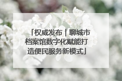 权威发布｜聊城市档案馆数字化赋能打造便民服务新模式