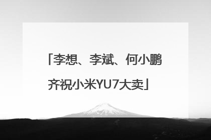 李想、李斌、何小鹏齐祝小米YU7大卖