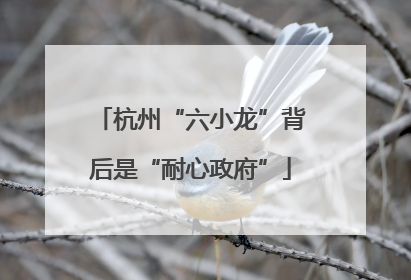 杭州“六小龙”背后是“耐心政府”