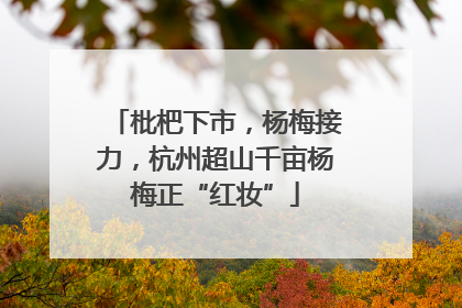 枇杷下市，杨梅接力，杭州超山千亩杨梅正“红妆”