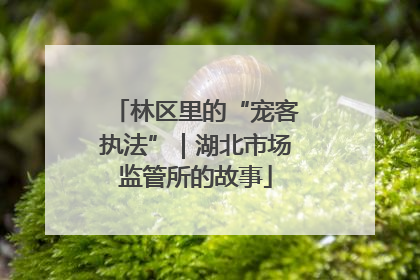 林区里的“宠客执法”｜湖北市场监管所的故事
