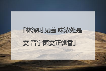 林深时见菌 味浓处是宴 晋宁菌宴正飘香