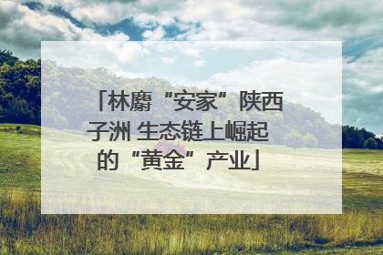 林麝“安家”陕西子洲 生态链上崛起的“黄金”产业