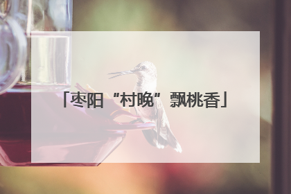 枣阳“村晚”飘桃香