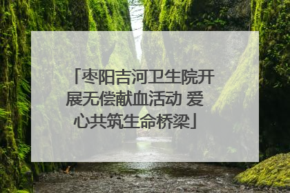 枣阳吉河卫生院开展无偿献血活动 爱心共筑生命桥梁