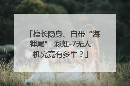 擅长隐身、自带“海狸尾” 彩虹-7无人机究竟有多牛？