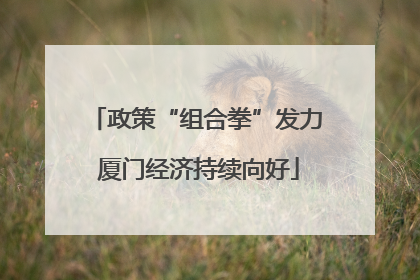 政策“组合拳”发力 厦门经济持续向好