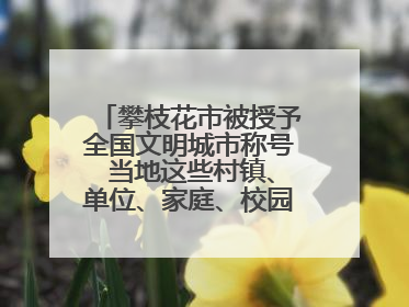 攀枝花市被授予全国文明城市称号 当地这些村镇、单位、家庭、校园也是全国文明！