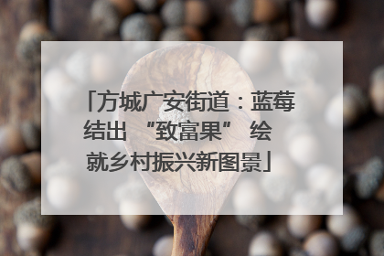 方城广安街道：蓝莓结出 “致富果” 绘就乡村振兴新图景