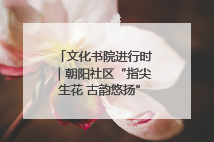 文化书院进行时｜朝阳社区“指尖生花 古韵悠扬”公益课堂开课了