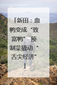 新田：血鸭变成“致富鸭” 预制菜撬动“舌尖经济”