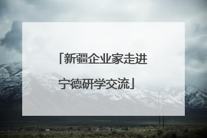 新疆企业家走进宁德研学交流