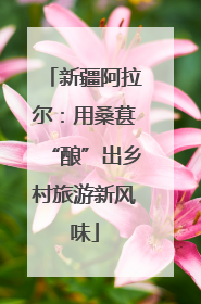 新疆阿拉尔：用桑葚“酿”出乡村旅游新风味