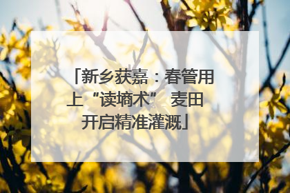 新乡获嘉：春管用上“读墒术” 麦田开启精准灌溉