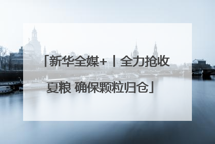 新华全媒+丨全力抢收夏粮 确保颗粒归仓
