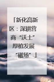 新化高新区：深耕营商“沃土” 厚植发展“磁场”