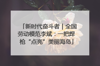 新时代奋斗者｜全国劳动模范李斌：一把焊枪“点亮”美丽海岛