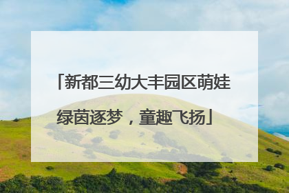 新都三幼大丰园区萌娃绿茵逐梦，童趣飞扬