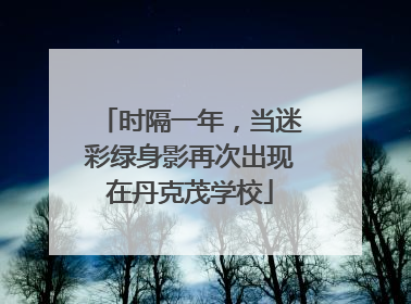 时隔一年，当迷彩绿身影再次出现在丹克茂学校