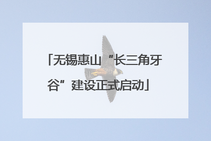 无锡惠山“长三角牙谷”建设正式启动