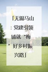 无锡马山：党建引领 铺就“梅”好乡村振兴路