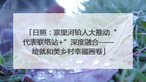 日照：寨里河镇人大推动“代表联络站+”深度融合——绘就和美乡村幸福画卷