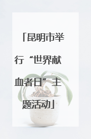 昆明市举行“世界献血者日”主题活动