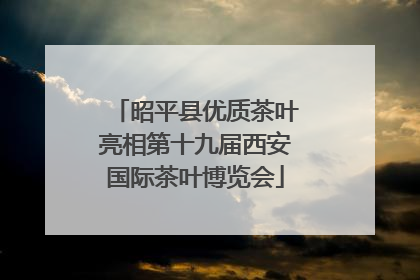 昭平县优质茶叶亮相第十九届西安国际茶叶博览会