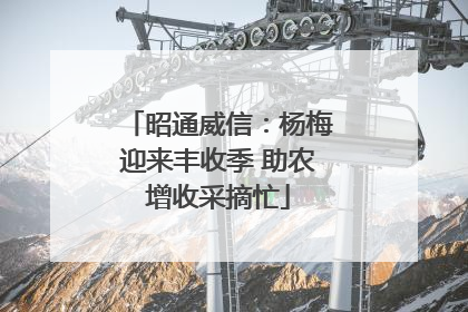 昭通威信：杨梅迎来丰收季 助农增收采摘忙