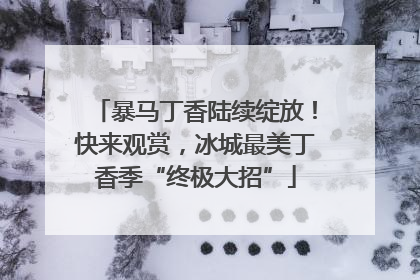 暴马丁香陆续绽放！快来观赏，冰城最美丁香季“终极大招”
