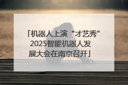 机器人上演“才艺秀” 2025智能机器人发展大会在南京召开