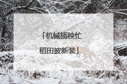 机械插秧忙 稻田披新装