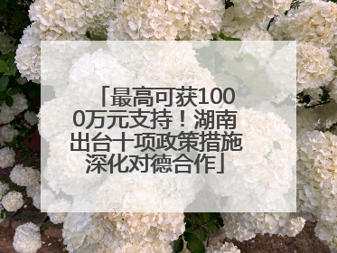 最高可获1000万元支持！湖南出台十项政策措施深化对德合作