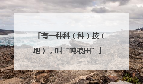 有一种科（种）技（地），叫“吨粮田”