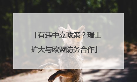 有违中立政策？瑞士扩大与欧盟防务合作