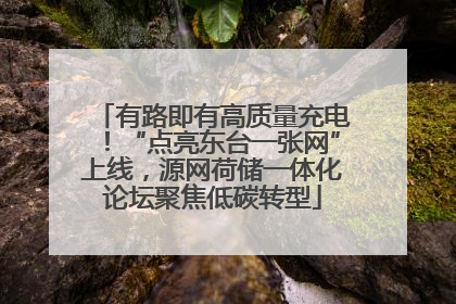 有路即有高质量充电！“点亮东台一张网”上线，源网荷储一体化论坛聚焦低碳转型
