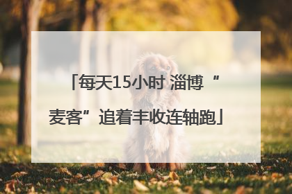 每天15小时 淄博“麦客”追着丰收连轴跑