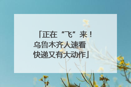 正在“飞”来！乌鲁木齐人速看 快递又有大动作