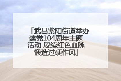 武昌紫阳街道举办建党104周年主题活动 赓续红色血脉锻造过硬作风