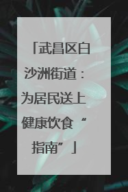 武昌区白沙洲街道：为居民送上健康饮食“指南”
