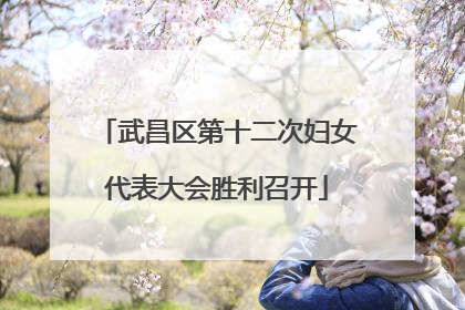 武昌区第十二次妇女代表大会胜利召开