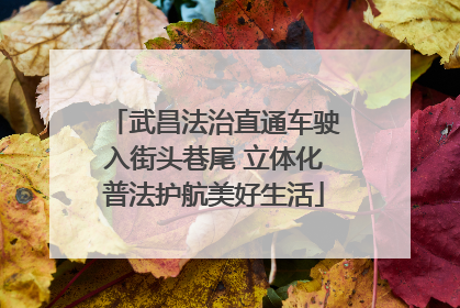武昌法治直通车驶入街头巷尾 立体化普法护航美好生活