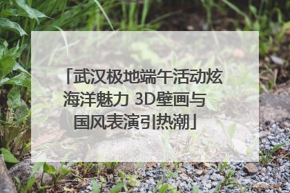 武汉极地端午活动炫海洋魅力 3D壁画与国风表演引热潮