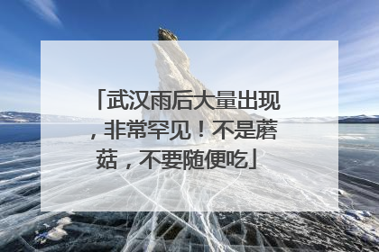 武汉雨后大量出现，非常罕见！不是蘑菇，不要随便吃