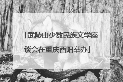 武陵山少数民族文学座谈会在重庆酉阳举办