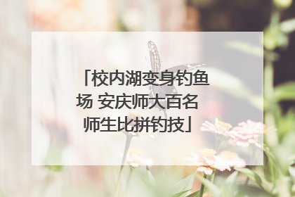 校内湖变身钓鱼场 安庆师大百名师生比拼钓技