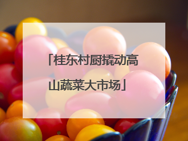 桂东村厨撬动高山蔬菜大市场