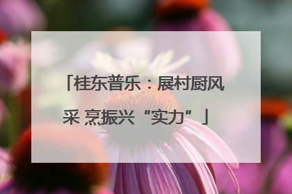 桂东普乐：展村厨风采 烹振兴“实力”