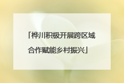 桦川积极开展跨区域合作赋能乡村振兴