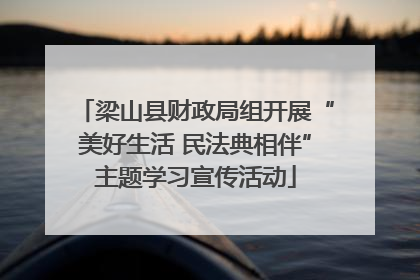 梁山县财政局组开展“美好生活 民法典相伴”主题学习宣传活动